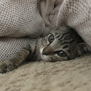 群馬の好きなとこ