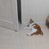 吹けば飛ぶような店ですが……。