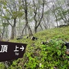健康の年度決算