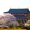 「青丹よし 奈良の都は 咲く花の にほふがごとく 今盛りなり」〜都は花のように、小野朝臣老が詠んだ奈良の光、日本最古の都讃歌