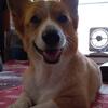 今日は元気すぎです(笑)