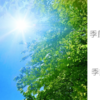 9月末に新緑？蝉の大合唱？