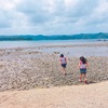 かくれ浜、出そうで出なかった…【笠利】