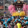 明日から輪島の春の風物詩「曳山祭」だよ (σﾟдﾟ)σ！（住吉神社：2023年4月4、5日、重蔵神社：2023年4月5、6日）