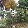 「バードテーブル新築落成」　MY　GARDEN　2019.10.22日撮影