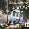 Somewhere over the "SAKURA"えちぜん鉄道、桜模様