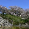 水月公園