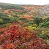 紅葉フェチ＆見たい景色を山へ求めて