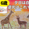 【45分】サバンナの夕焼けイラストの描き方【初心者・こども・サクラクレパス】クレパス　テクニカルコートで上手に重ねぬり
