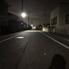 悲しみよ こんにちは
