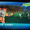 ポケモン　サン　ムーン　伝説ポケモン　ネクロズマ　捕まえ方　入手法　画像有　攻略　改造