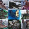 2008年　釣行ベスト10