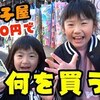 1月24日の動画