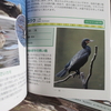 ポイントにカワウが居ても、そう悲観することはない。
