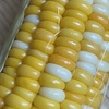 レンジ加熱5分で暑い夏も簡単に♪今が旬の『北海道産トウモロコシ🌽』