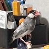 どこにとまってるのかと思えば...笑