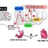 全ては気から( ´_ゝ`)