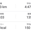 今日も11kmややペース走/ホノマラまでの練習予定