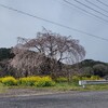 花見ツーリング