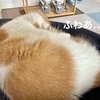休日の添い寝タイム。