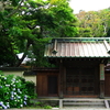 鎌倉・寿福寺～八坂大神～長谷方面へ