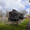 D51形11号機　札幌市西区農試公園