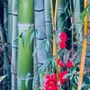 １月１日