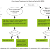 2021 ACR/vasculitis foundation ガイドライン for GCA & TAK (GCA version)