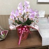５月３０日〜６月１日‼️