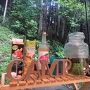 TEMI BLOG　〜生活改善健康ブログ〜