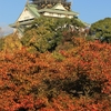 紅葉との五番勝負の始まりだ！