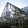 東京都薬用植物園（東京都小平市）