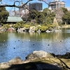 清澄庭園／三菱の創始者である岩崎弥太郎が明治期に完成させた庭園