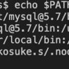 環境構築時の$ PATH を通すとは