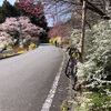 2024年 4月 初の定峰200km