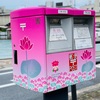 古代ハスと出会う朝活