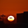 夕陽と飛行機のマッチング❣️ヤット上手くいきましたそのシーン