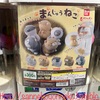 【ガチャ活】大盛り上がりのガチャショップ体験 結局吸い寄せられて、ガチャガチャしちゃいました・・・