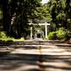 Shinto: A religion that blends into everyday life