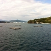 今日の気仙沼湾は、南から見てみた