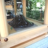 〖悪疫退散！〗上目黒氷川神社の直書き御朱印と見どころを徹底紹介