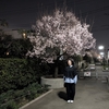 10年ぶりの日本の春
