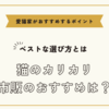 猫のカリカリ市販のおすすめは？ベストな選び方と愛猫家がおすすめするポイント