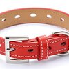 愛犬の首輪、妥協してない？てるべる本革首輪で個性を輝かせ、お散歩を特別な時間に！