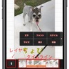  iPhoneの動画文字入れアプリVont