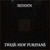 【Music】 These New Puritans / Hidden (2010)