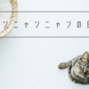 【ニャンニャンニャンの日】今日のうちの猫達