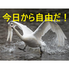 会社辞めたらどーするんだっけ？これだけはやるべき手続き！