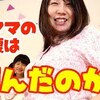 11月20日の動画