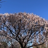 40超えたらまず健康第一